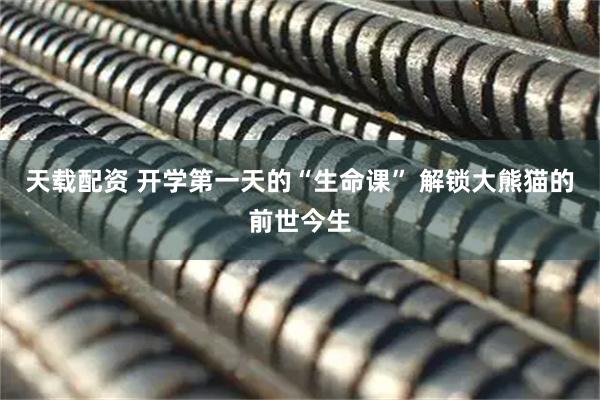 天载配资 开学第一天的“生命课” 解锁大熊猫的前世今生
