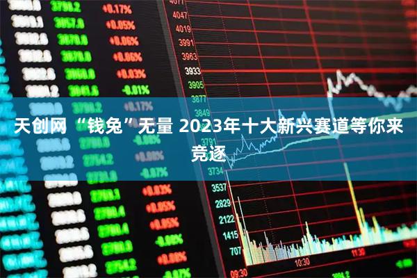 天创网 “钱兔”无量 2023年十大新兴赛道等你来竞逐
